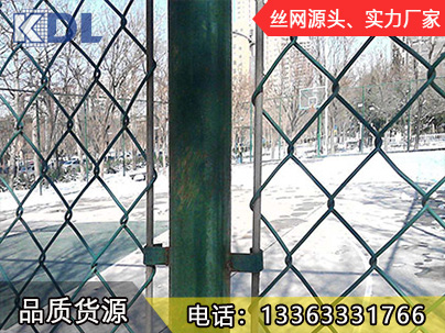 體育場護欄網(wǎng)